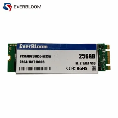 SATA III M.2 SSD